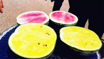 八卦吃瓜爆料入口官网,揭秘八卦爆料入口官网全攻略