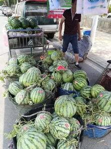 兰陵网红吃瓜事件