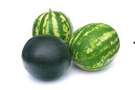 兰陵网红吃瓜事件