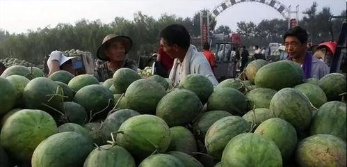 韩城网红吃瓜直播,揭秘网红圈幕后故事