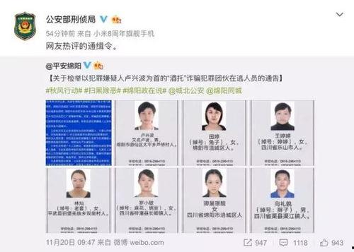 网贷案现高颜值女嫌犯吃瓜,网络迷雾中的“美女陷阱”揭秘”