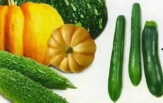 吃瓜反差官网,揭秘娱乐圈背后的真实故事