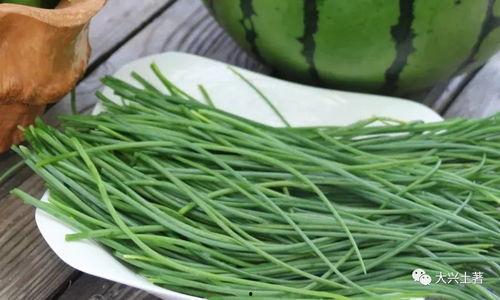 网红吃瓜在哪找,探寻热门话题的聚集地