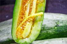 网红有哪些瓜可以吃