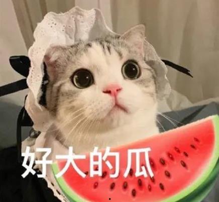 网红吃瓜动漫,动漫世界大揭秘！
