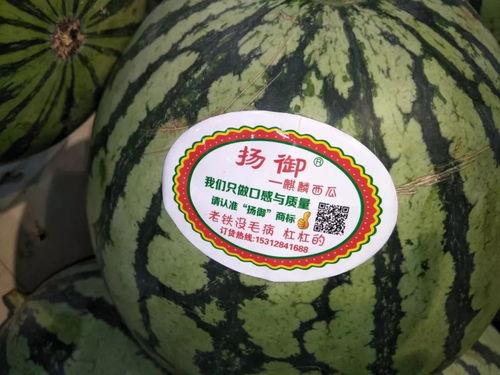 吃瓜网每日主题,聚焦娱乐圈最新动态