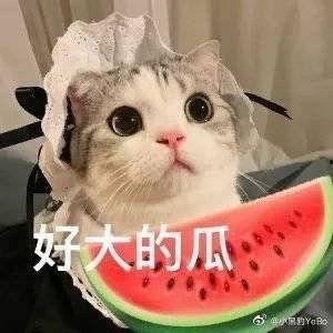 今日吃瓜 网红爆红最新消息,网红新晋流量王，吃瓜群众热议不断！