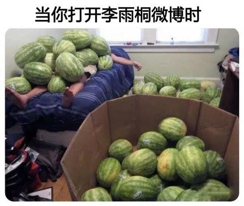 吃瓜网吃瓜大赛在线,在线狂欢，瓜界风云再起！