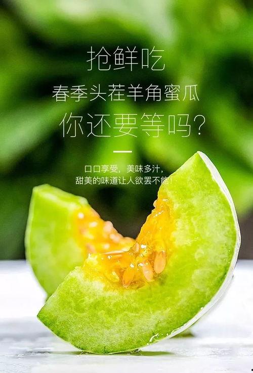 如何吃网红瓜,轻松解锁网络热点美食之旅