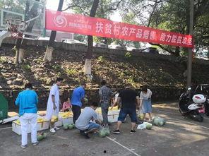 醴陵吃瓜网,揭秘醴陵美食背后的故事与风情